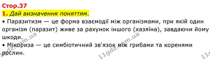 1. Дай визначення поняттям. — ГДЗ робочий зошит Біологія 7 клас Тагліна