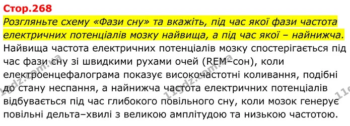 Розгляньте схему «Фази сну» та вкажіть, під час якої фази частота електричних потенціалів мозку найвища, а під час якої – найнижча. — ГДЗ Біологія 8 клас Балан