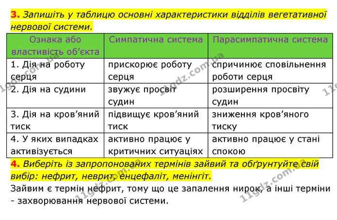 3. Запишіть у таблицю основні характеристики відділів вегетативної нервової системи. — ГДЗ Робочий зошит Біологія 8 клас Задорожний