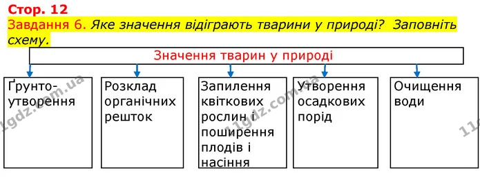 Стор. 12 — 6 — ГДЗ Робочий зошит з Біології 7 клас Яременко — ГДЗ Робочий зошит з Біології 7 клас Яременко
