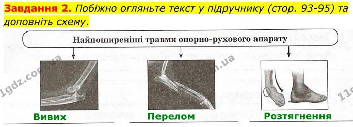Стор. 47 — 2 — ГДЗ Робочий зошит біологія 8 клас Мирна — ГДЗ Робочий зошит біологія 8 клас Мирна