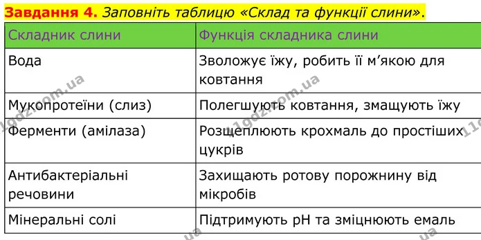 Стор. 55 — 4 — ГДЗ Робочий зошит біологія 8 клас Мирна — ГДЗ Робочий зошит біологія 8 клас Мирна