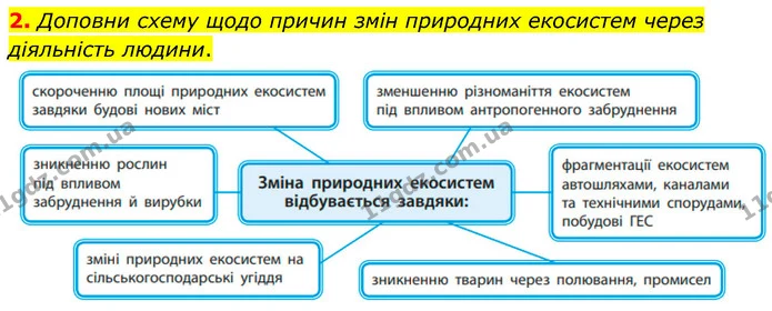 2. Доповни схему щодо причин змін природних екосистем через діяльність людини. — ГДЗ робочий зошит Біологія 7 клас Тагліна