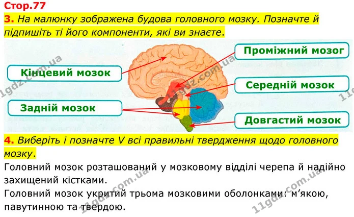 1. Позначте біля кожного правдивого твердження «+», біля хибного — «-». — частина 3 — ГДЗ Робочий зошит Біологія 8 клас Тагліна (2025)