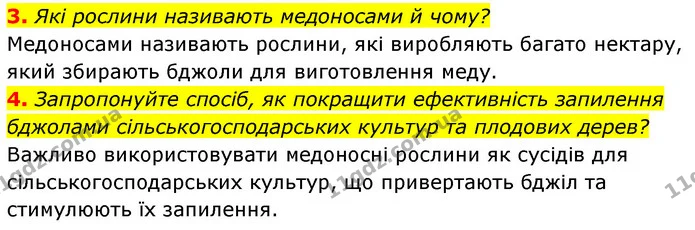 3. Які рослини називають медоносами й чому? — ГДЗ Біологія 7 клас Тагліна