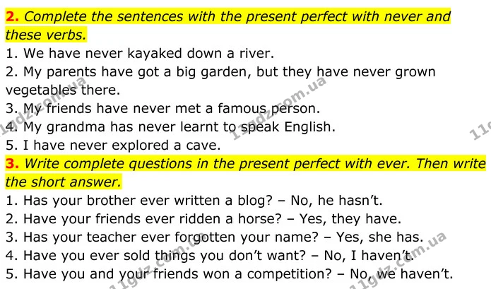 2. Complete the sentences with the present perfect with never and these verbs. — ГДЗ Англійська мова 7 клас Коста