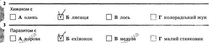 Стор. 58 — 2-3 — ГДЗ Робочий зошит Біологія 7 клас Задорожний — ГДЗ Робочий зошит Біологія 7 клас Задорожний