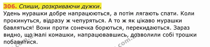 306. Спиши, розкриваючи дужки. — ГДЗ Українська мова та читання 4 клас Кравцова