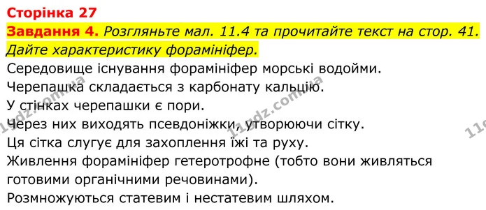 4. Розгляньте мал. 11.4 та прочитайте текст на стор. 41. Дайте характеристику форамініфер. — ГДЗ Робочий зошит Біологія 7 клас Мирна 2024