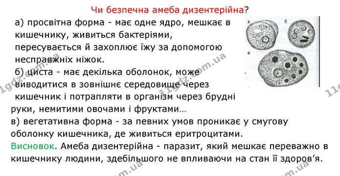 Стор. 20 — 2 — ГДЗ Робочий зошит Біологія 6 клас Соболь — ГДЗ Робочий зошит Біологія 6 клас Соболь