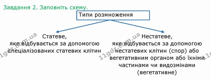 Стор. 35 — 2 — ГДЗ Робочий зошит Біологія 6 клас Мечник — ГДЗ Робочий зошит Біологія 6 клас Мечник