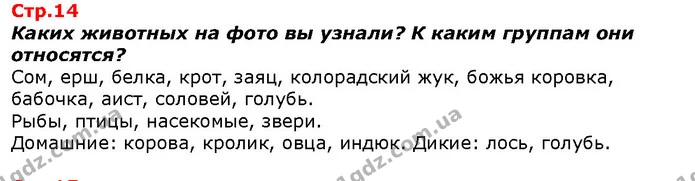 Каких животных на фото вы узнали? К каким группам они относятся? — ГДЗ Я исследую мир 1 класс Гильберг