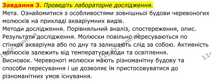 3. Проведіть лабораторне дослідження. — ГДЗ Робочий зошит Біологія 7 клас Мирна 2024