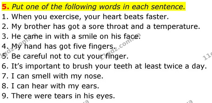 5. Put one of the following words in each sentence. — ГДЗ Робочий зошит Англійська мова 7 клас Карпюк