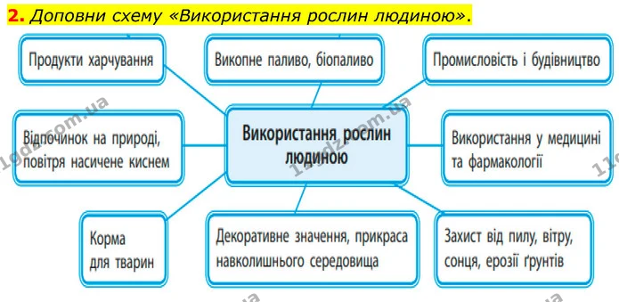 2. Доповни схему «Використання рослин людиною». — ГДЗ робочий зошит Біологія 7 клас Тагліна