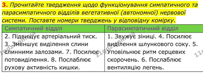 3. Прочитайте твердження щодо функціонування симпатичного та парасимпатичного відділів вегетативної (автономної) нервової системи — ГДЗ Робочий зошит Біологія 8 клас Кулініч