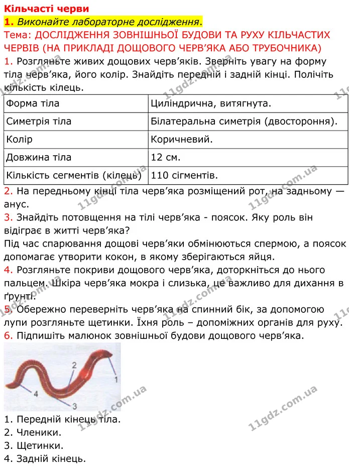 1. Виконайте лабораторне дослідження. — ГДЗ робочий зошит Біологія 7 клас Кулініч
