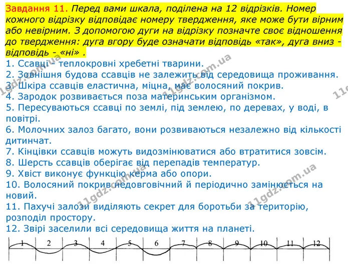 Стор. 56 — 11 — ГДЗ Робочий зошит з Біології 7 клас Яременко — ГДЗ Робочий зошит з Біології 7 клас Яременко