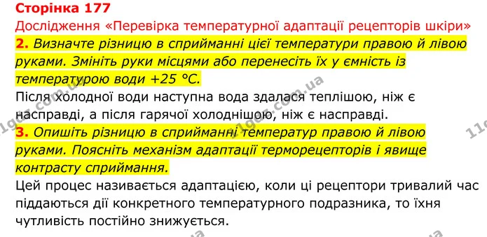 Стор. 177 — 1 — ГДЗ Біологія 8 клас Тагліна — ГДЗ Біологія 8 клас Тагліна