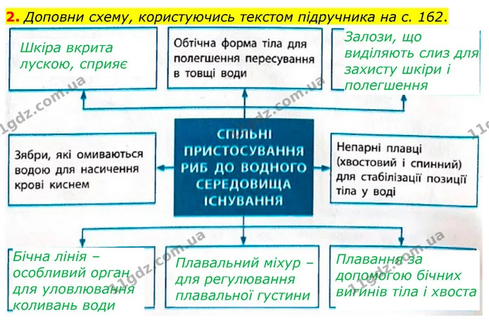 2. Доповни схему, користуючись текстом підручника на с. 162. — ГДЗ робочий зошит Біологія 7 клас Тагліна