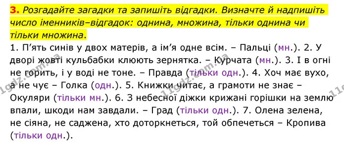 3. Розгадайте загадки та запишіть відгадки. Визначте й надпишіть число іменників–відгадок: однина, множина, тільки однина чи тільки — ГДЗ Українська мова 6 клас Авраменко