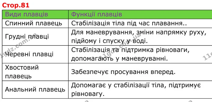 Стор. 81 — 2 — ГДЗ робочий зошит Біологія 7 клас Кулініч — ГДЗ робочий зошит Біологія 7 клас Кулініч