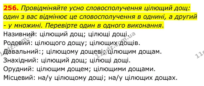 256. Провідміняйте усно словосполучення цілющий дощ: один з вас відмінює це словосполучення в однині, а другий - у множині. Перевірте — ГДЗ Українська мова 6 клас Заболотний 2020