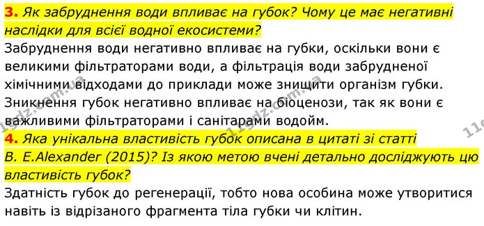 3. Як забруднення води впливає на губок? Чому це має негативні наслідки для всієї водної екосистеми? — ГДЗ Біологія 7 клас Тагліна