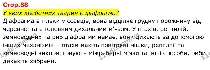 У яких хребетних тварин є діафрагма? — ГДЗ Біологія 8 клас Балан