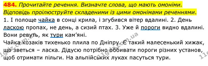 484. Прочитайте речення. Визначте слова, що мають омоніми. Відповідь проілюструйте складеними із цими омонімами реченнями. — ГДЗ Українська мова 5 клас Глазова 2022