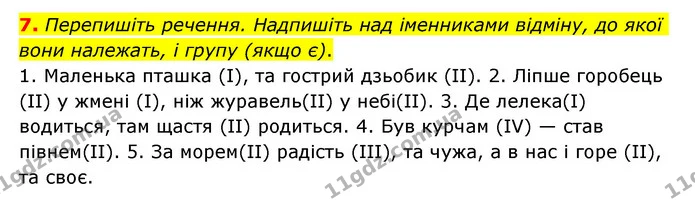 7. Перепишіть речення. Надпишіть над іменниками відміну, до якої вони належать, і групу (якщо є). — ГДЗ Українська мова 6 клас Авраменко