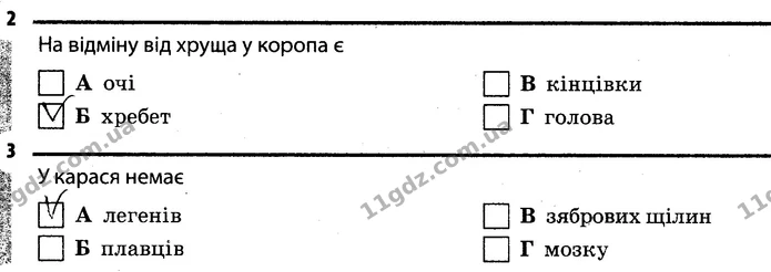 2. На відміну від хруща у коропа є Б (хребет) — ГДЗ Робочий зошит Біологія 7 клас Задорожний