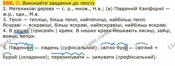586. II. Виконайте завдання до тексту — ГДЗ Українська мова 6 клас Заболотний 2019