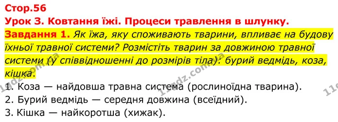 Стор. 56 — 1 — ГДЗ Робочий зошит біологія 8 клас Мирна — ГДЗ Робочий зошит біологія 8 клас Мирна