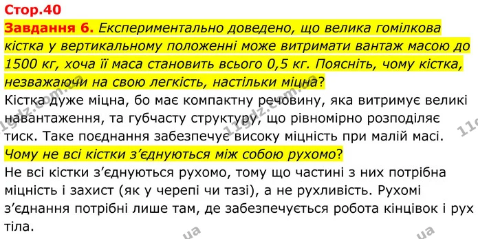Стор. 40 — 6 — ГДЗ Робочий зошит біологія 8 клас Мирна — ГДЗ Робочий зошит біологія 8 клас Мирна