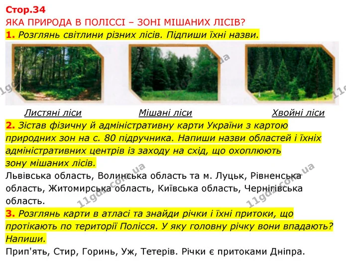 1. Розглянь світлини різних лісів. Підпиши їхні назви. — ГДЗ Робочий зошит Я досліджую світ 4 клас Грущинська
