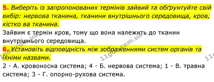 5. Виберіть із запропонованих термінів зайвий та обґрунтуйте свій вибір: нервова тканина, тканини внутрішнього середовища, кров, кістко — ГДЗ Робочий зошит Біологія 8 клас Задорожний