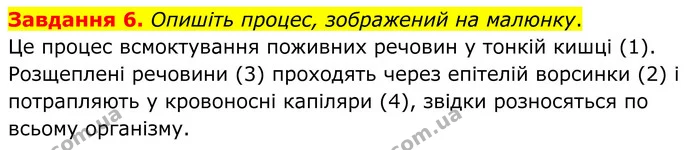 Стор. 59 — 6 (2) — ГДЗ Робочий зошит біологія 8 клас Мирна — ГДЗ Робочий зошит біологія 8 клас Мирна