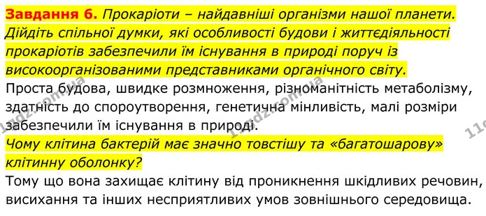 6. Прокаріоти – найдавніші організми нашої планети. Дійдіть спільної думки, які особливості будови і життєдіяльності прокаріотів — ГДЗ Робочий зошит Біологія 7 клас Мирна 2024