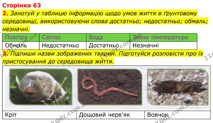 1. Заповни таблицю інформацією за результатами дослідження. — ГДЗ робочий зошит Пізнаємо природу 5 клас Коршевнюк