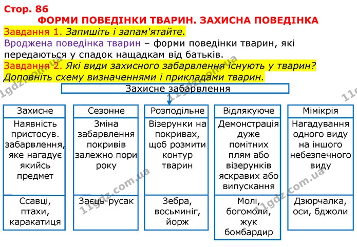 Стор. 86 — 1-2 — ГДЗ Робочий зошит з Біології 7 клас Яременко — ГДЗ Робочий зошит з Біології 7 клас Яременко