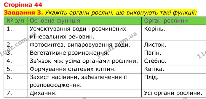 3. Укажіть органи рослин, що виконують такі функції: — ГДЗ Робочий зошит Біологія 7 клас Мирна 2024