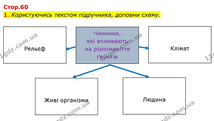 1. Користуючись текстом підручника, доповни схему. — ГДЗ Робочий зошит Я досліджую світ 4 клас Гільберг