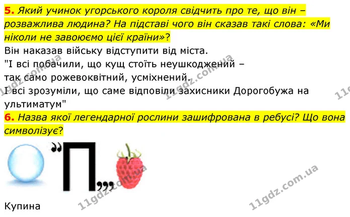 5. Який учинок угорського короля свідчить про те, що він – розважлива людина? На підставі чого він сказав такі слова: «Ми ніколи не — ГДЗ Українська література 5 клас Заболотний