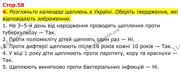 4. Розгляньте календар щеплень в Україні. Оберіть твердження, які відповідають зображенню. — ГДЗ Робочий зошит Біологія 8 клас Кулініч