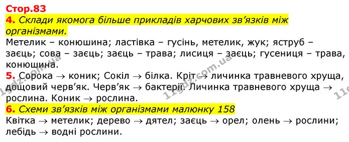 4. Склади якомога більше прикладів харчових зв’язків між організмами. — ГДЗ Робочий зошит Природознавство 5 клас Коршевнюк