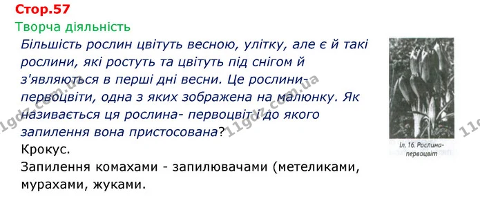 Стор. 57 — 1 — ГДЗ Робочий зошит Біологія 6 клас Соболь — ГДЗ Робочий зошит Біологія 6 клас Соболь