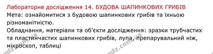 Стор. 91 — 2 — ГДЗ Робочий зошит Біологія 6 клас Соболь — ГДЗ Робочий зошит Біологія 6 клас Соболь