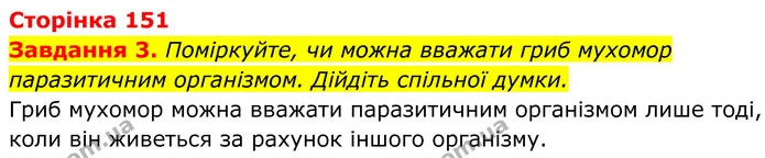 3. Поміркуйте, чи можна вважати гриб мухомор паразитичним організмом. Дійдіть спільної думки. — ГДЗ Робочий зошит Біологія 7 клас Мирна 2024