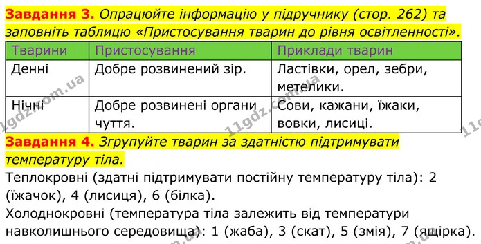 3. Опрацюйте інформацію у підручнику (стор. 262) та заповніть таблицю «Пристосування тварин до рівня освітленності». — ГДЗ Робочий зошит Біологія 7 клас Мирна 2024